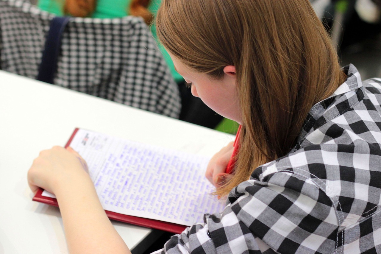 L'accompagnement personnalisé au collège